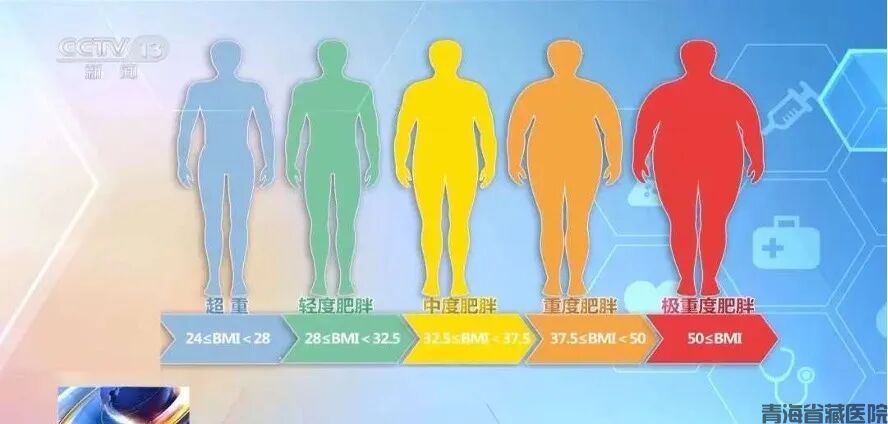 图片 1.jpg