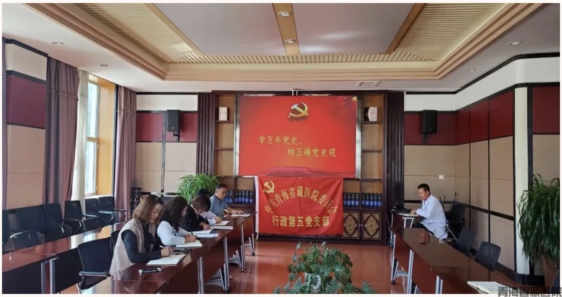 青海省藏医院行政第五党支部开展《学百年党史、树正确党史观》专题党课(图1)